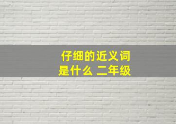 仔细的近义词是什么 二年级